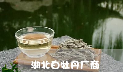 湖北白牡丹厂商/2023112342693