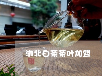 湖北白茶茶叶加盟/2023062285937