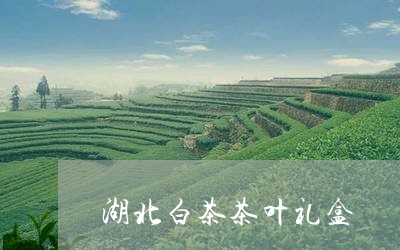 湖北白茶茶叶礼盒/2023062218360