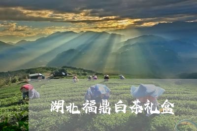 湖北福鼎白茶礼盒/2023062285249