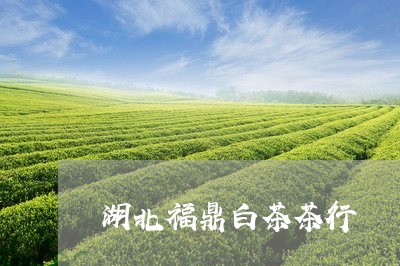 湖北福鼎白茶茶行/2023062200625