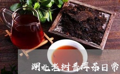 湖北老树普洱茶日常用法/2023081466937