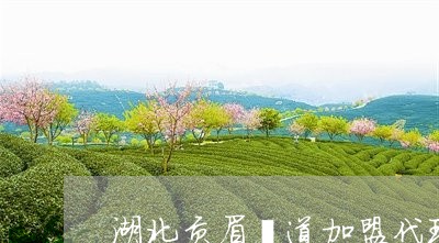 湖北贡眉渠道加盟代理/2023100307360