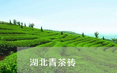 湖北青茶砖/2023122093137