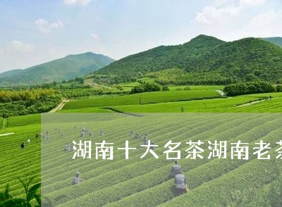 湖南十大名茶湖南老茶/2023071547269