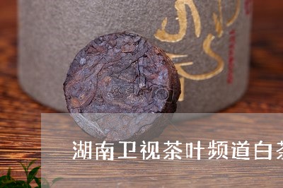 湖南卫视茶叶频道白茶/2023100350372