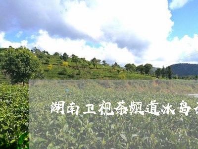 湖南卫视茶频道冰岛茶/2023061231405