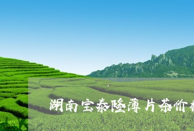 湖南宝泰隆薄片茶价格/2023071505261