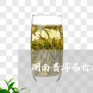 湖南普洱茶价格公司/2023091320595