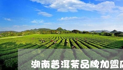 湖南普洱茶品牌加盟店排行/2023121805956