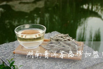 湖南普洱茶品牌加盟店排行榜/2023121835025