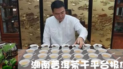 湖南普洱茶干平台报价/2023062443949