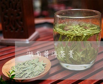 湖南普洱茶膏/2023042618739