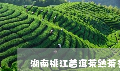 湖南桃江普洱茶熟茶多少钱/2023112867372