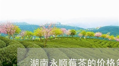 湖南永顺莓茶的价格多少钱/2023051166058