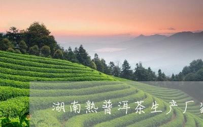 湖南熟普洱茶生产厂家排名/2023121815048