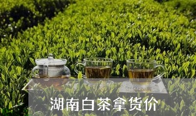 湖南白茶拿货价/2023060297159