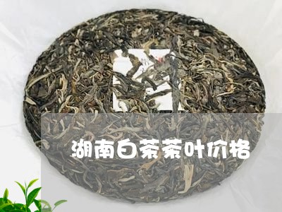 湖南白茶茶叶价格/2023062205937