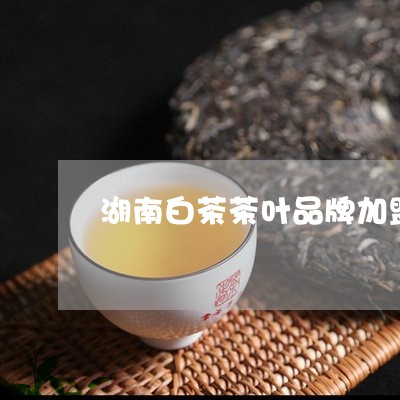 湖南白茶茶叶品牌加盟/2023100307179