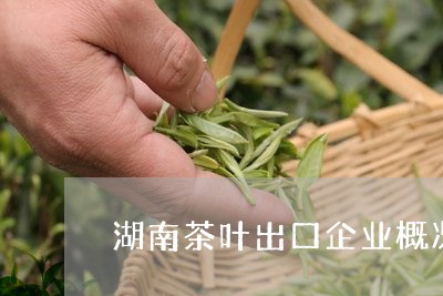 湖南茶叶出口企业概况/2023092364158