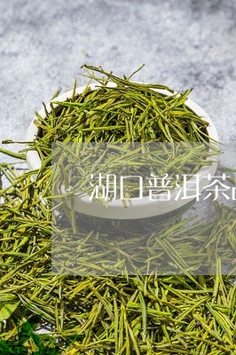 湖口普洱茶品牌大全价格/2023120702826