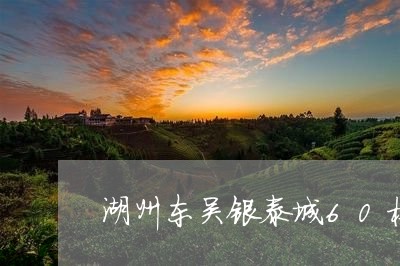 湖州东吴银泰城60楼喝茶/2023051106958