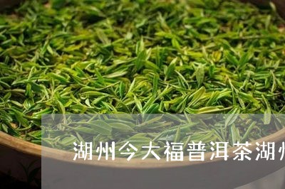 湖州今大福普洱茶湖州/2023101739262