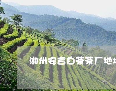 湖州安吉白茶茶厂地址/2023100285039