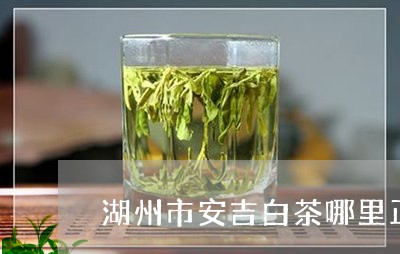 湖州市安吉白茶哪里正宗/2023102766240