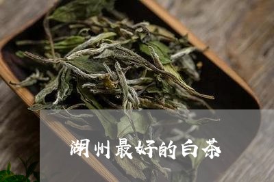 湖州最好的白茶/2023060285250