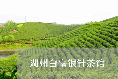 湖州白毫银针茶馆/2023090769393