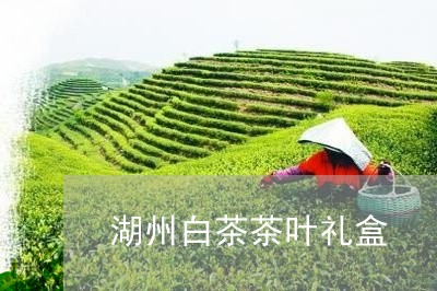 湖州白茶茶叶礼盒/2023062207058