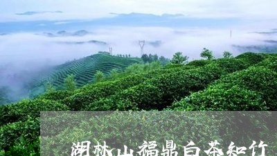 湖林山福鼎白茶知竹/2023120847403