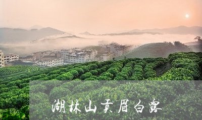 湖林山贡眉白露/2023060237250