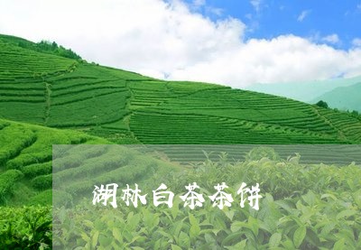 湖林白茶茶饼/2023082601795