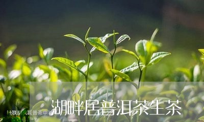 湖畔居普洱茶生茶/2023120310382