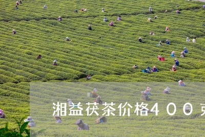 湘益茯茶价格400克/2023060980835