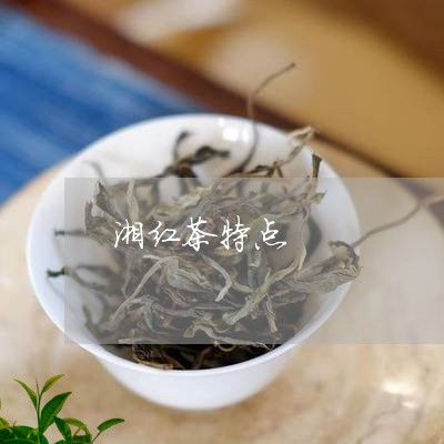 湘红茶特点/2023110904915