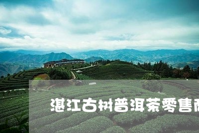 湛江古树普洱茶零售商电话/2023112400402