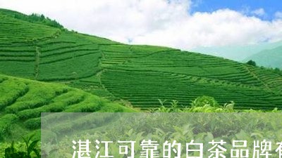 湛江可靠的白茶品牌有哪些/2023110334727