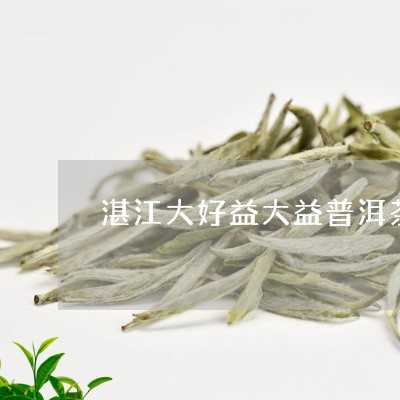 湛江大好益大益普洱茶/2023072489625