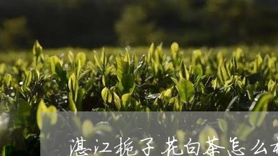 湛江栀子花白茶怎么样泡/2023102768159