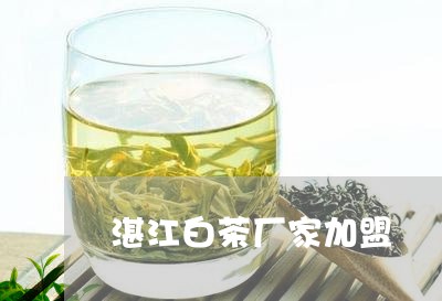 湛江白茶厂家加盟/2023062218614