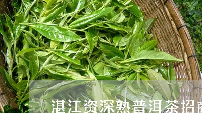 湛江资深熟普洱茶招商/2023092587170