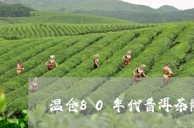 湿仓80年代普洱茶散茶/2023110306060