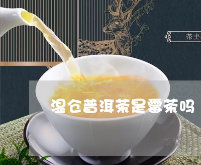 湿仓普洱茶是霉茶吗/2023071024271