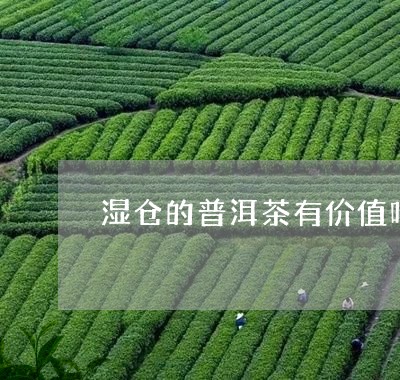 湿仓的普洱茶有价值吗/2023092844039