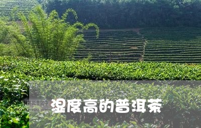 湿度高的普洱茶/2023083117240