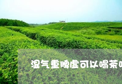 湿气重脾虚可以喝茶吗/2023092094047