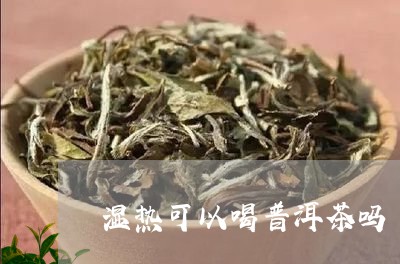 湿热可以喝普洱茶吗/2023071148169